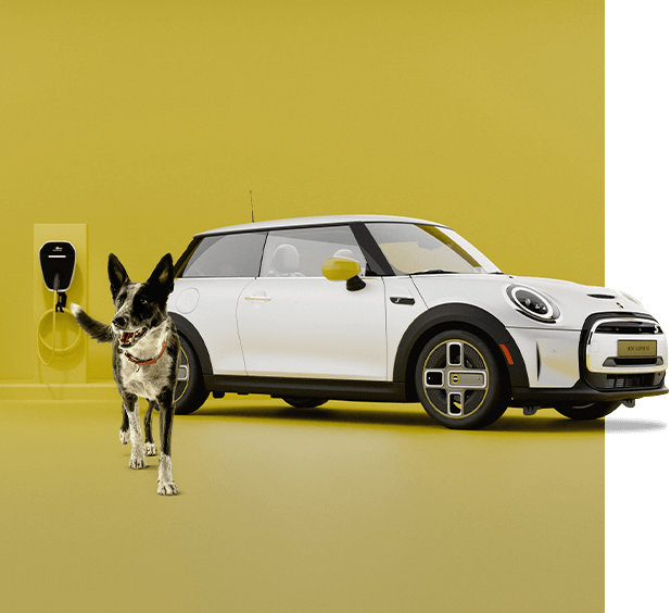 Mini Bc Official Homepage | MINI Canada