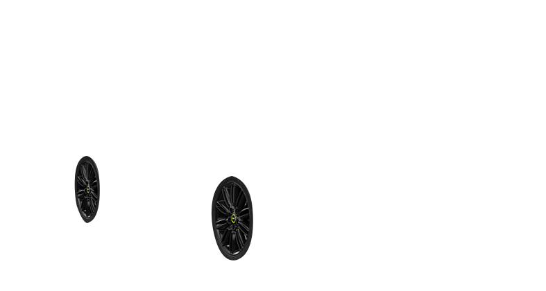 Tentacle Spoke wheels