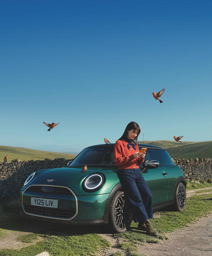 MINI full screen header