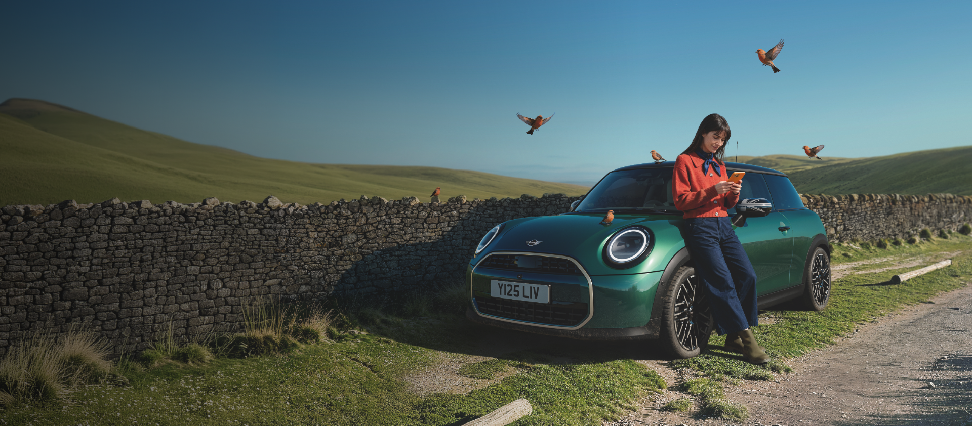 MINI full screen header